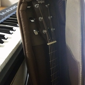 白虎美女 免费看
